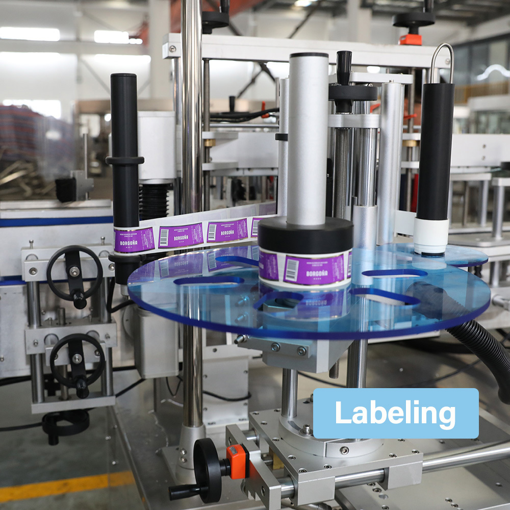 3-in-1 Automatic Glass Bottle Filling Machine for Beer Carbonated Drinks